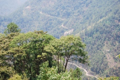 13B